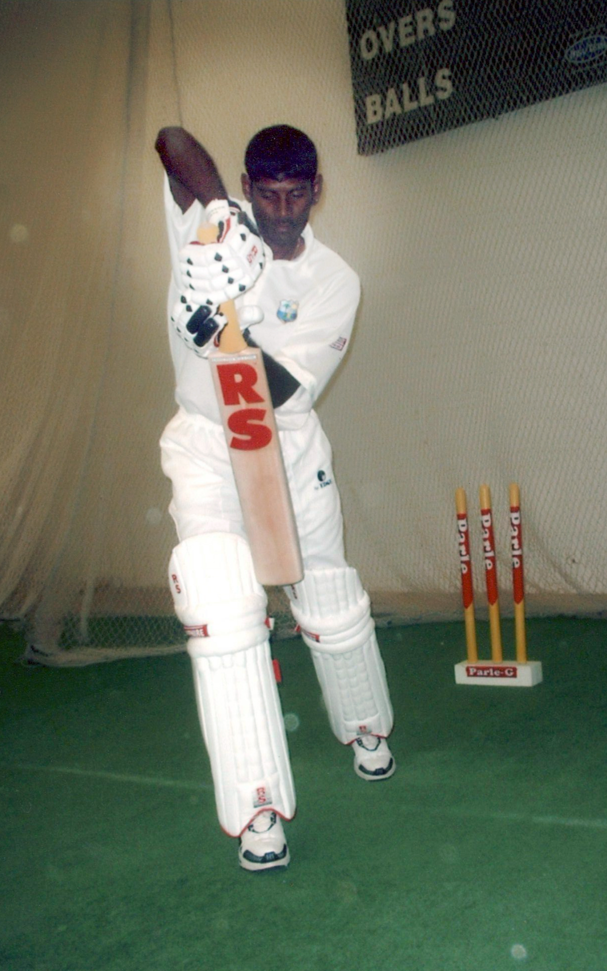 English willow Bat/s